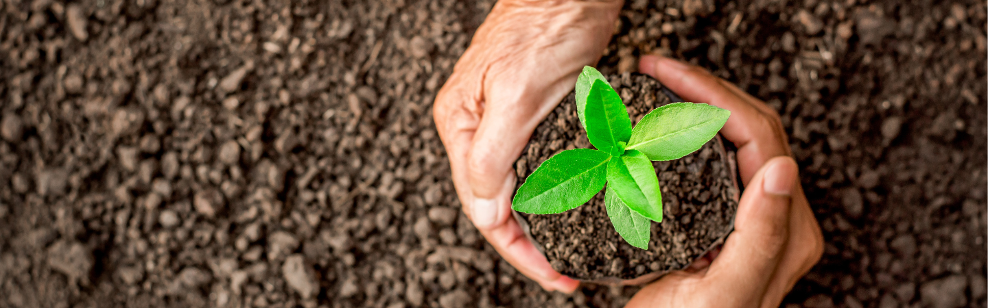 Environment hero image 2