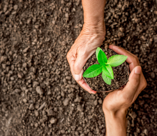 Environmental image 1